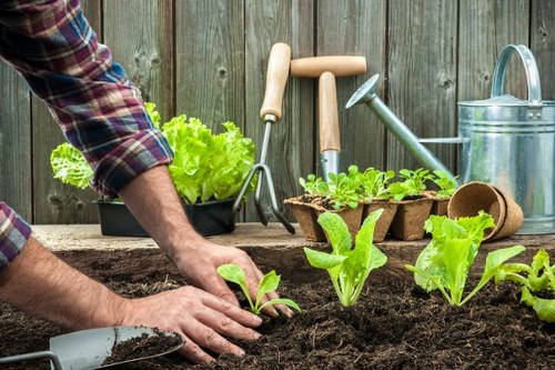 Gardener in Ruislip preparing tools at the start of a garden job