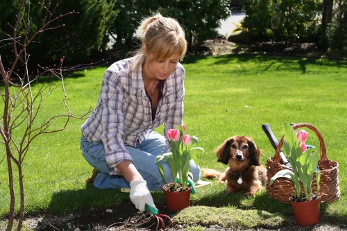 Selection of hardy plants suitable for Ruislip gardens