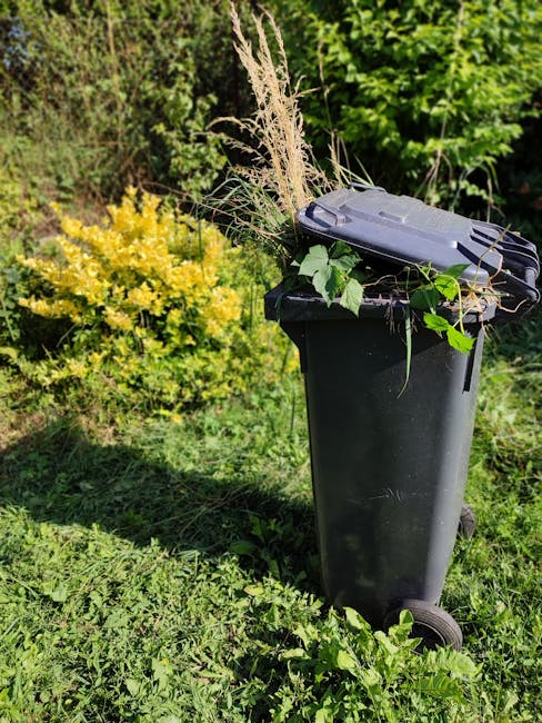 A green outdoor litter bin with a domed, transparent lid filled with various waste items, situated on a grassy area beside a dirt pathway. The bin has a black recycling symbol printed on its front, in